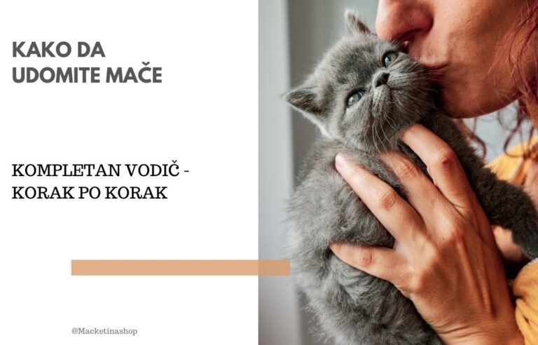 kako da udomite mače