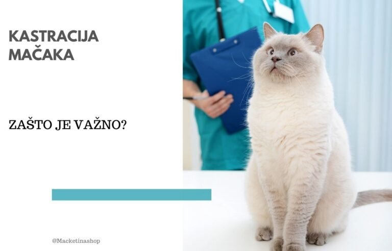 kastracija mačaka