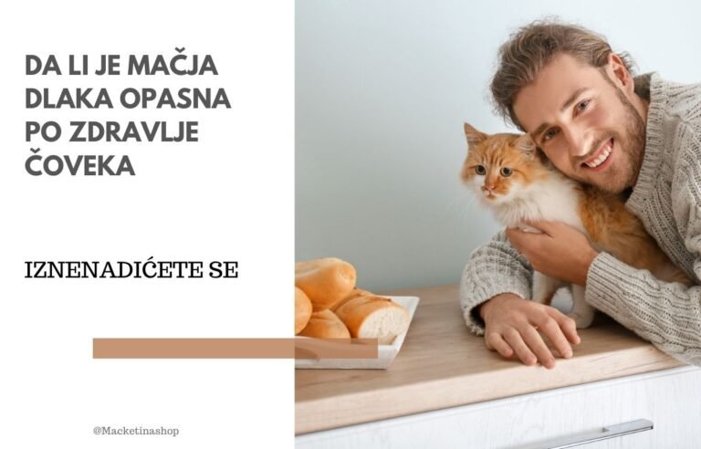 da li je mačja dlaka opasna pa zdravlje čoveka