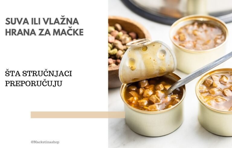 Suva ili vlažna hrana za mačke