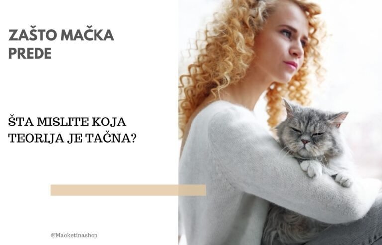zašto mačka prede