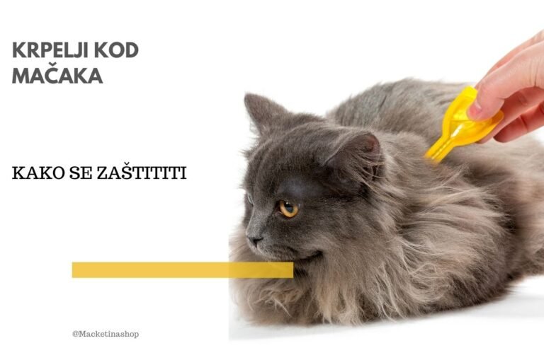 krpelji kod mačaka