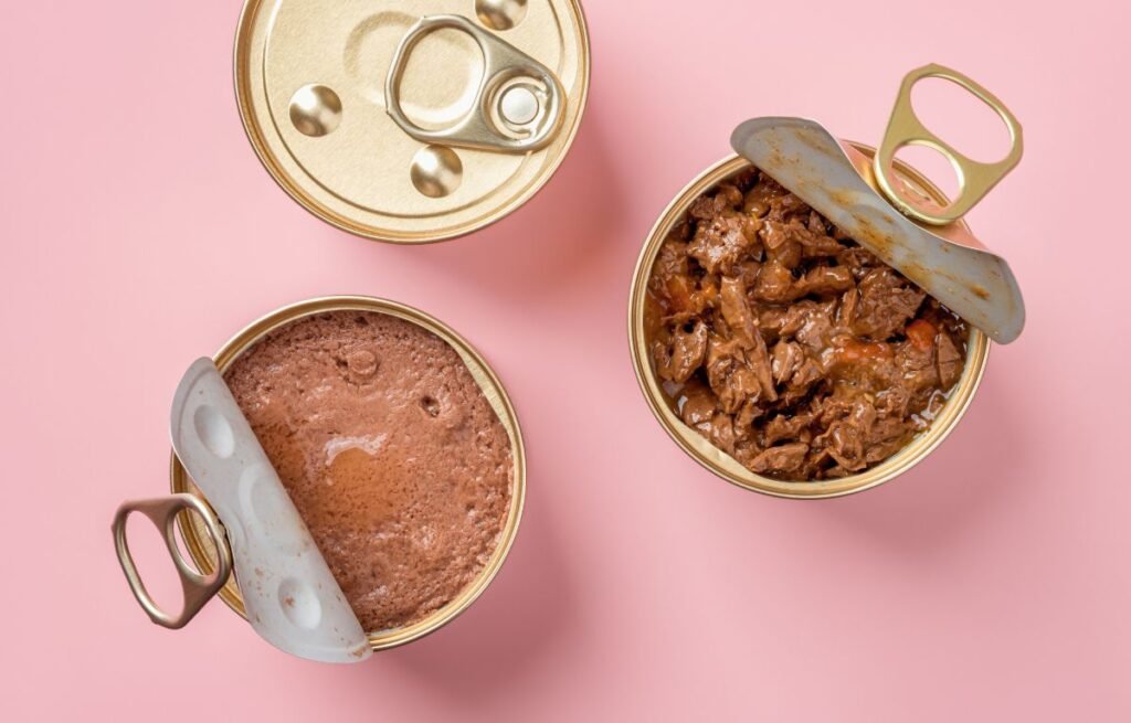 Suva ili vlažna hrana za mačke – šta je bolji izbor