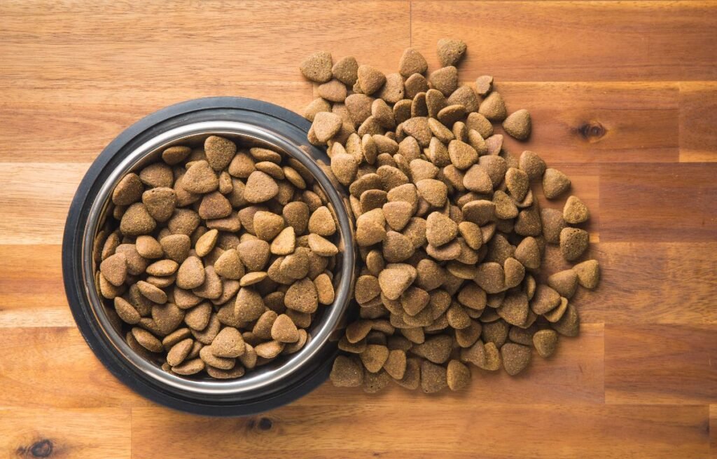 Suva ili vlažna hrana za mačke – šta je bolji izbor