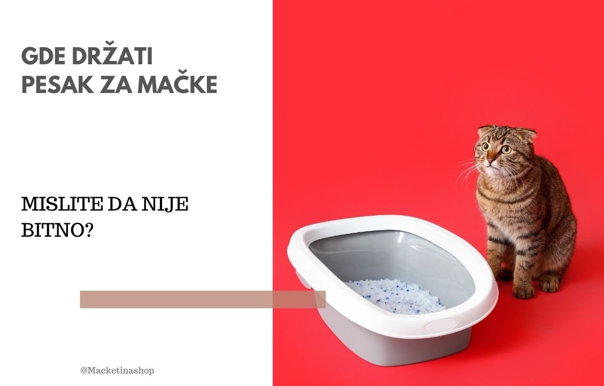 gde držati pesak za mačke