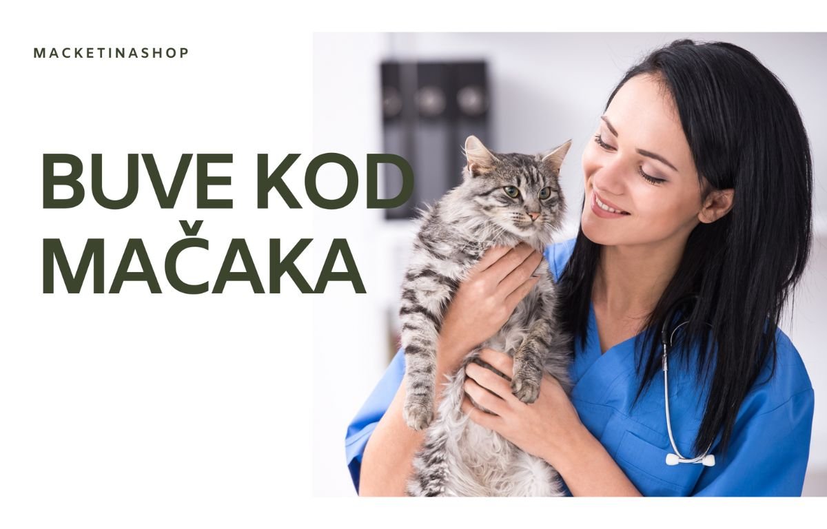 Buve kod mačaka