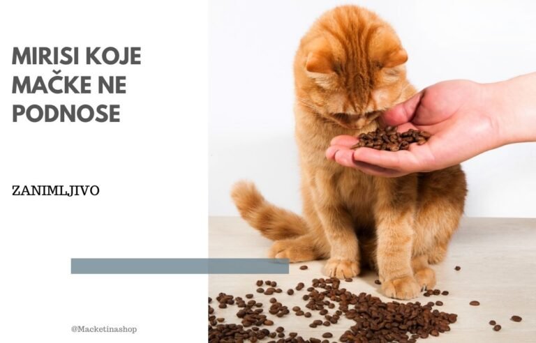 Mirisi koje mačke ne podnose