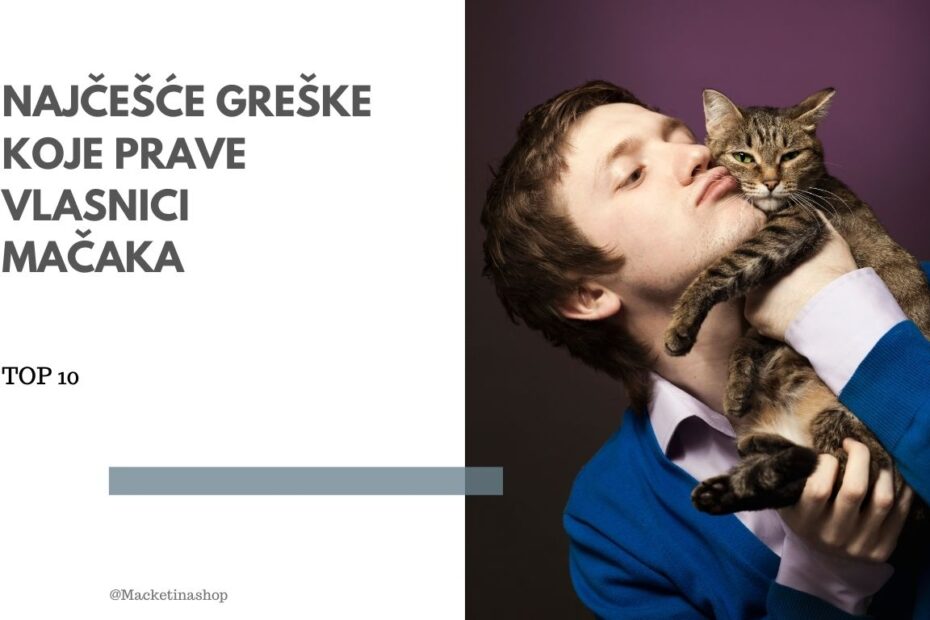 najčešće greške vlasnika mačaka