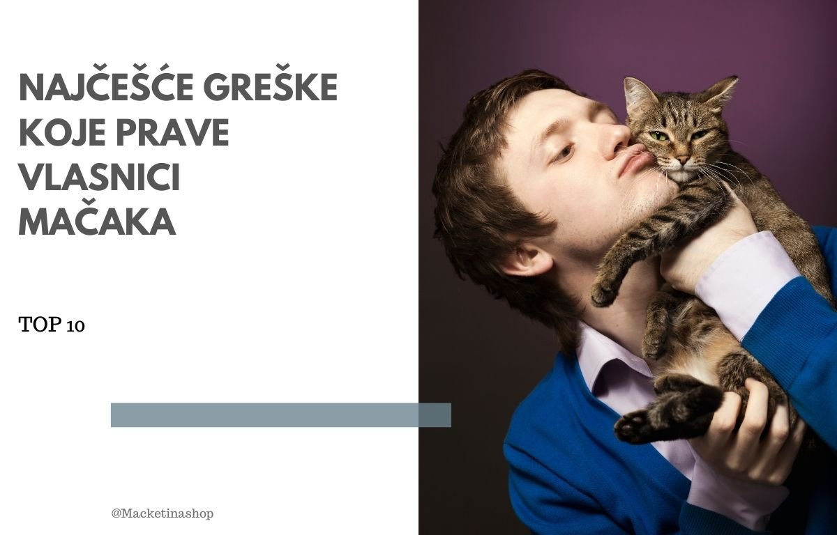 najčešće greške vlasnika mačaka