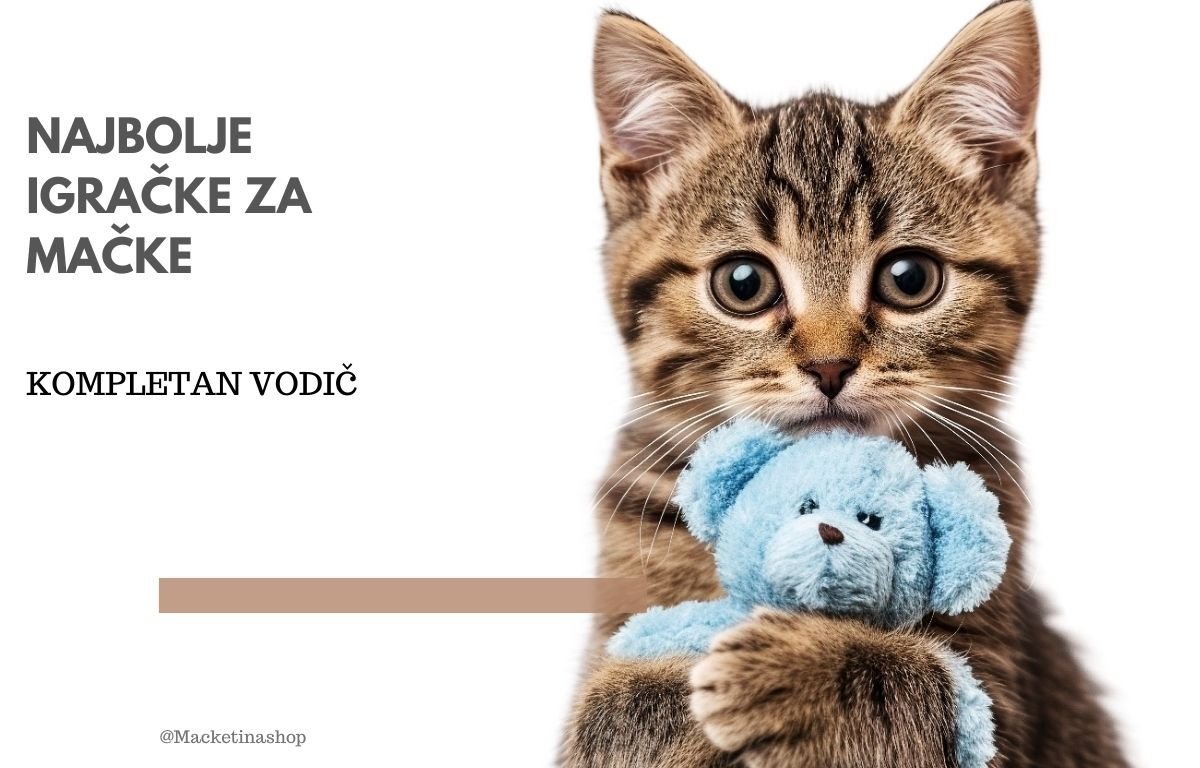 najbolje igračke za mačke