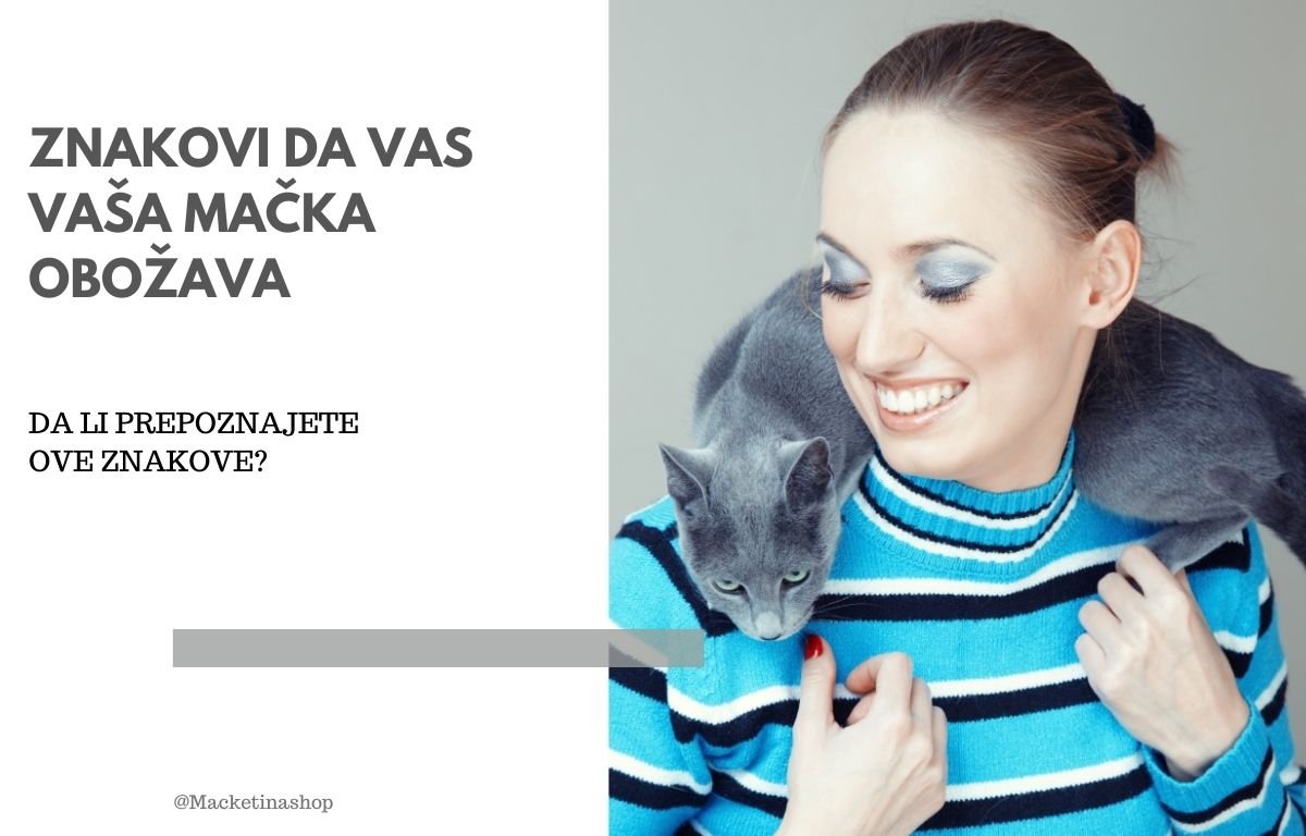 Znakovi da vas vaša mačka obožava