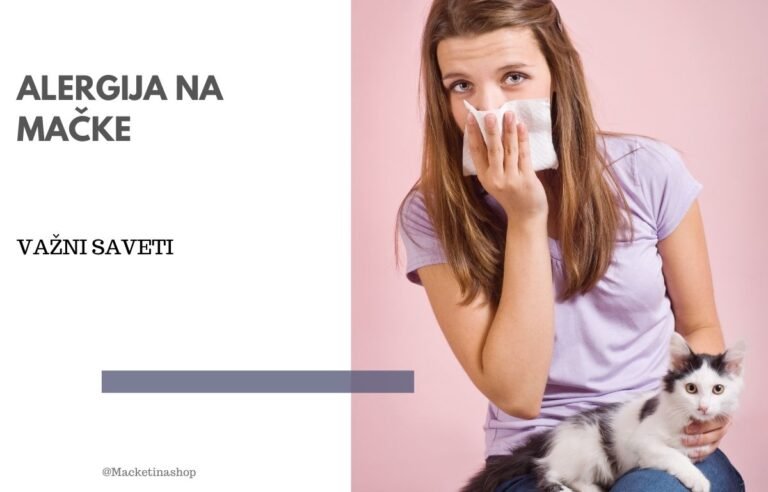 alergija na mačke