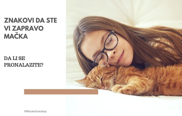 znakovi da ste vi zapravo mačka