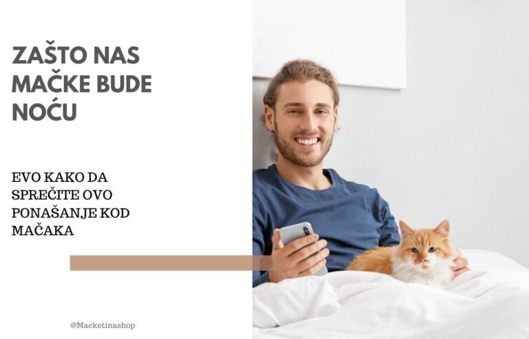 zašto nas mačke bude noću