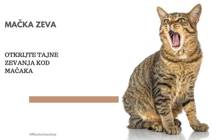 mačka zeva