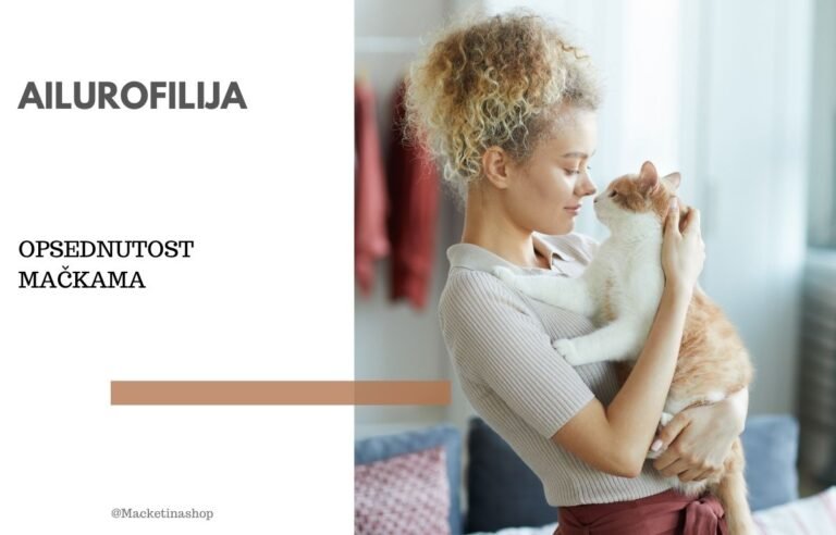 ailurofilija