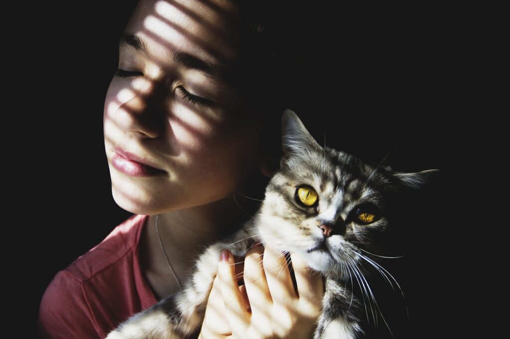 Opsednutost mačkama ili stručno: Ailurofilija