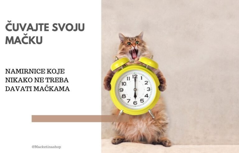 5 namirnica koje treba izbegavati u ishrani vaše mačke