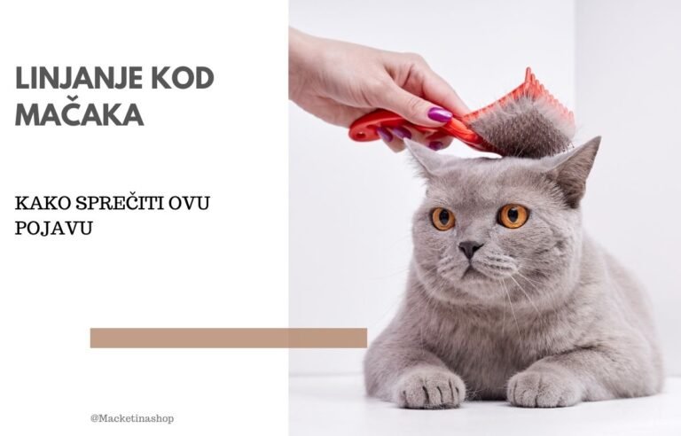 Linjanje kod mačaka