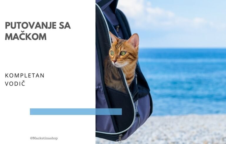 putovanje sa mačkom