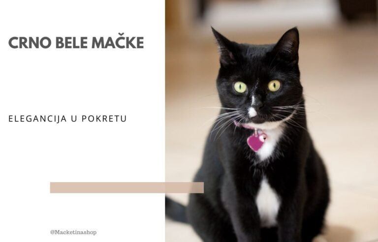 crno bele mačke