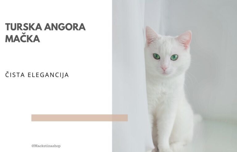 Turska Angora