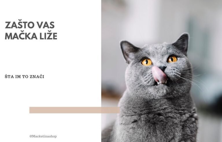 zašto vas vaša mačka liže