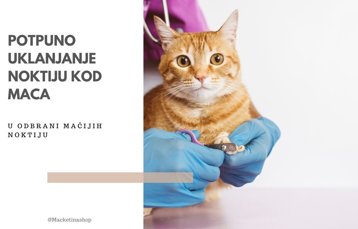 Potpuno uklanjanje noktiju kod mačaka