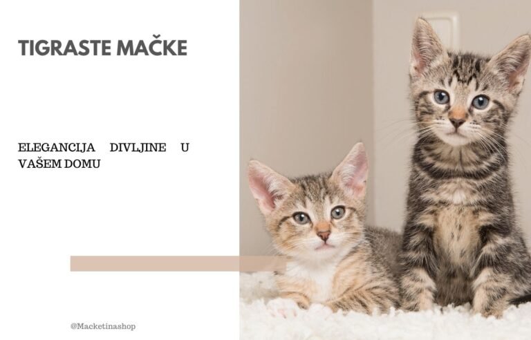 tigraste mačke