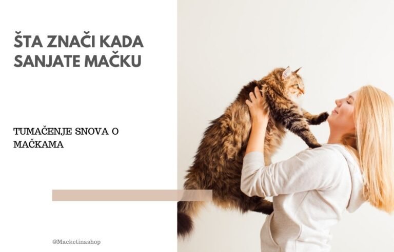 šta znači kada sanjate mačku