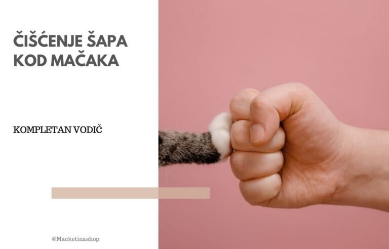 čišćenje šapa kod mačaka