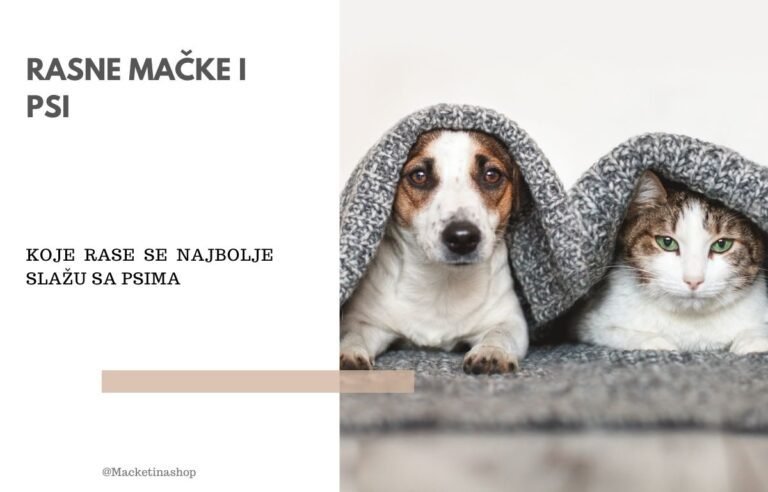 rasne mačke i psi