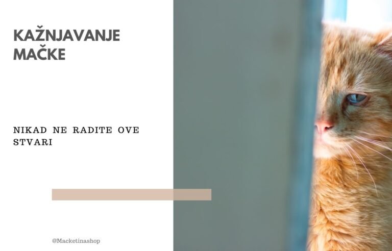kažnjavanje mačke