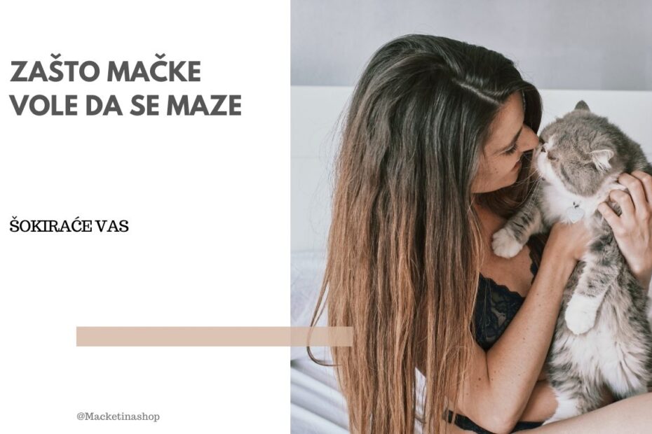 Zašto mačke vole da se maze