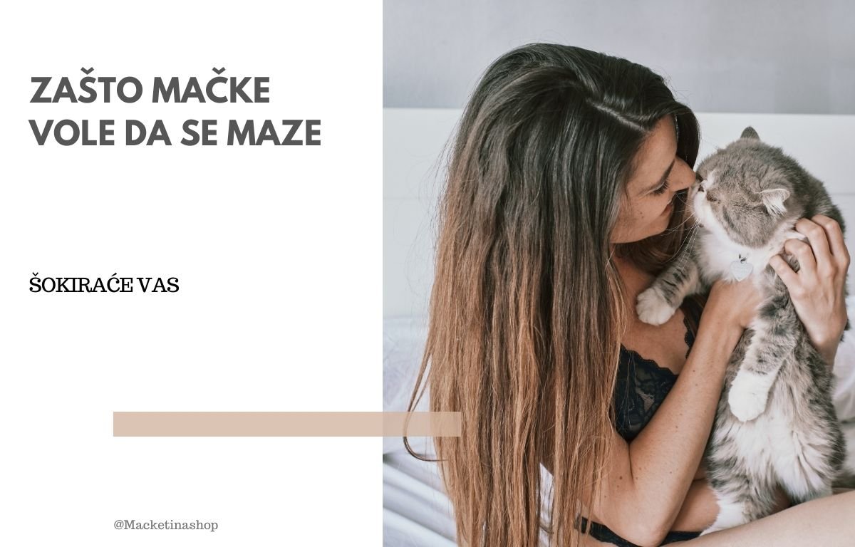 Zašto mačke vole da se maze