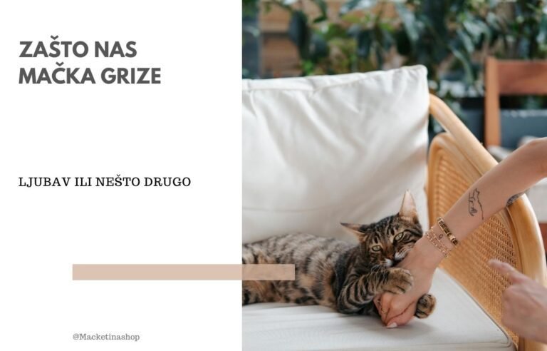 zašto nas mačka grize