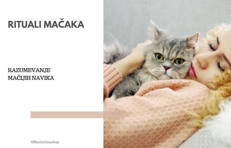 Rituali mačaka
