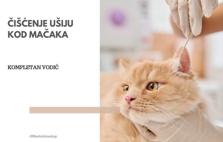 čišćenje ušiju kod mačaka
