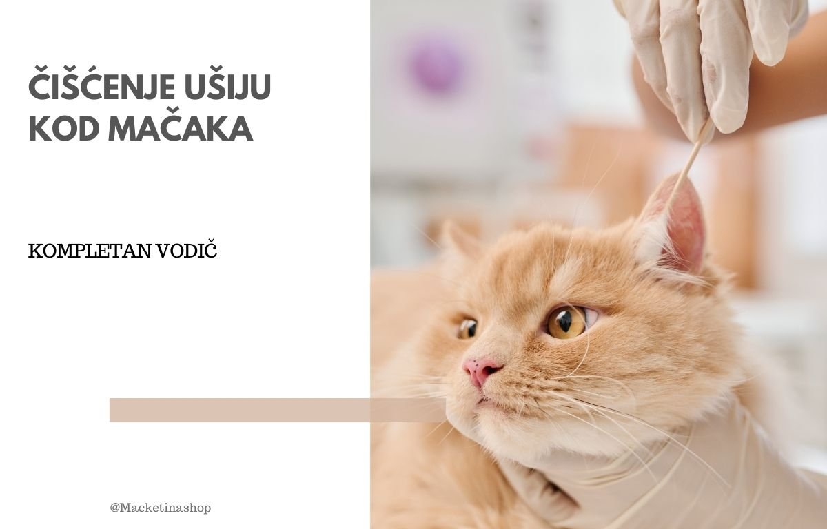čišćenje ušiju kod mačaka