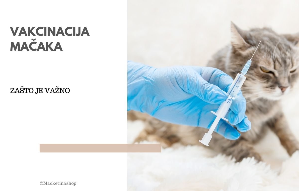 vakcinacija mačaka
