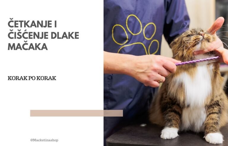 četkanje i čišćenje dlake mačaka