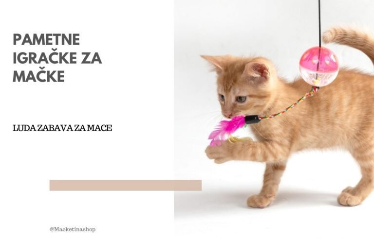 pametne igračke za mačke
