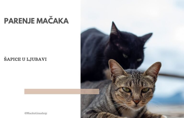 Parenje mačaka
