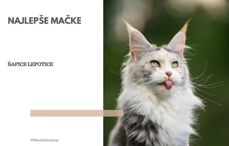 najlepše mačke