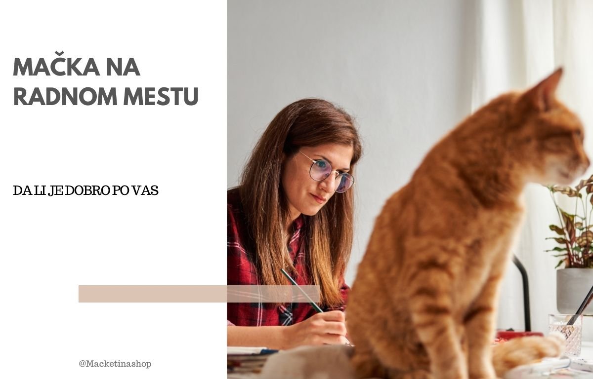 Mačka na radnom mestu