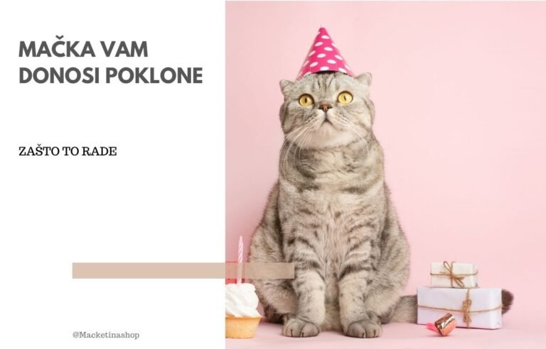 Mačka vam donosi poklone