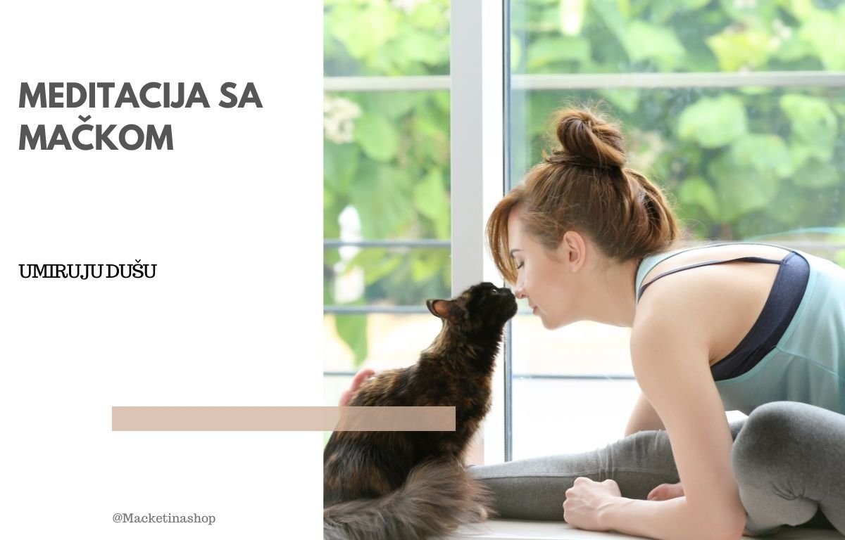 meditacija sa mačkama