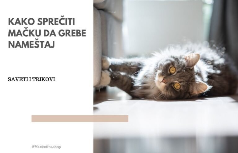 kako sprečiti mačku da grebe nameštaj