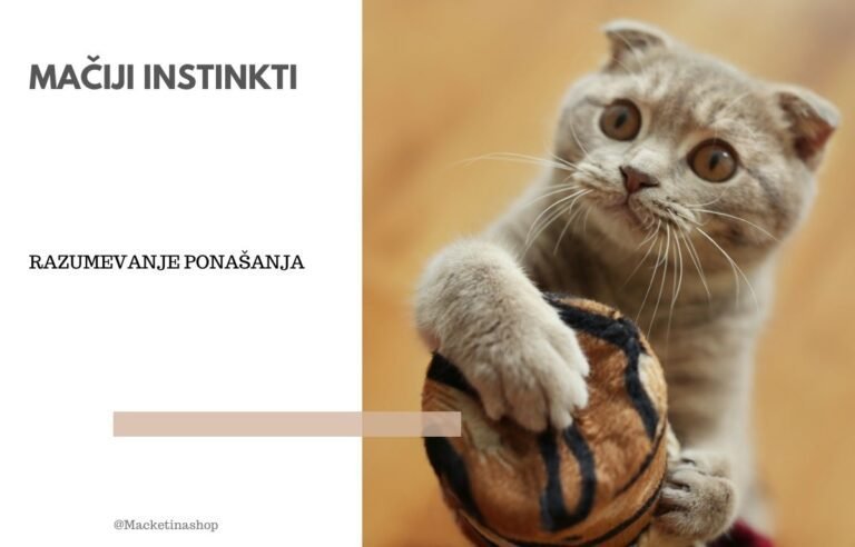 mačji instinkti