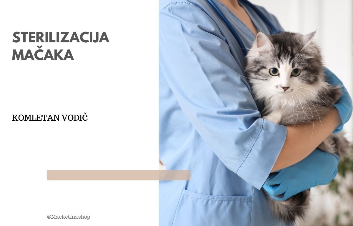 Sterilizacija mačaka